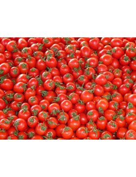 Pomidory z czosnkiem i bazylią 1kg