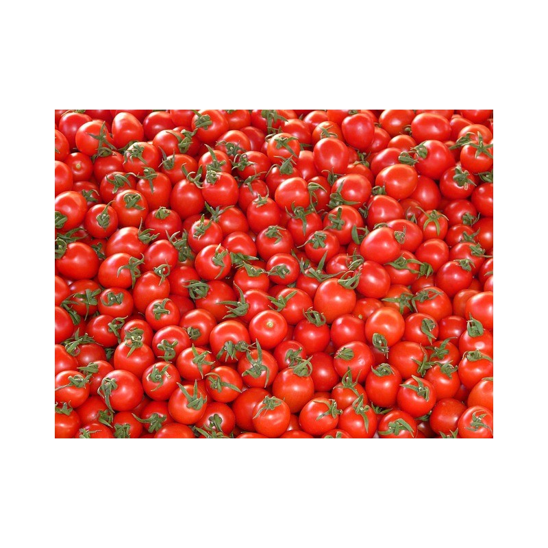 Pomidory z czosnkiem i bazylią 1kg